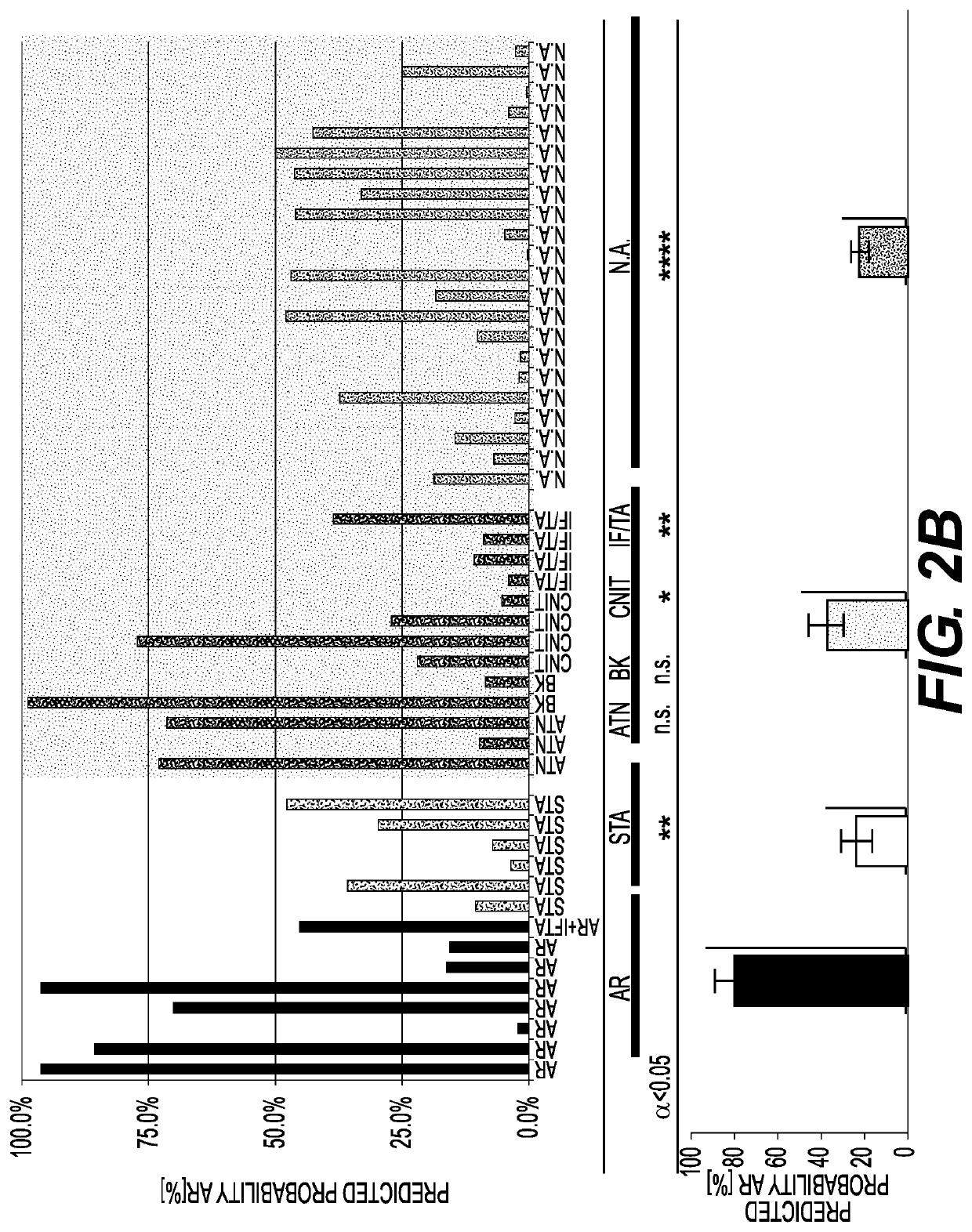 Compositions and methods for assessing acute rejection in renal transplantation