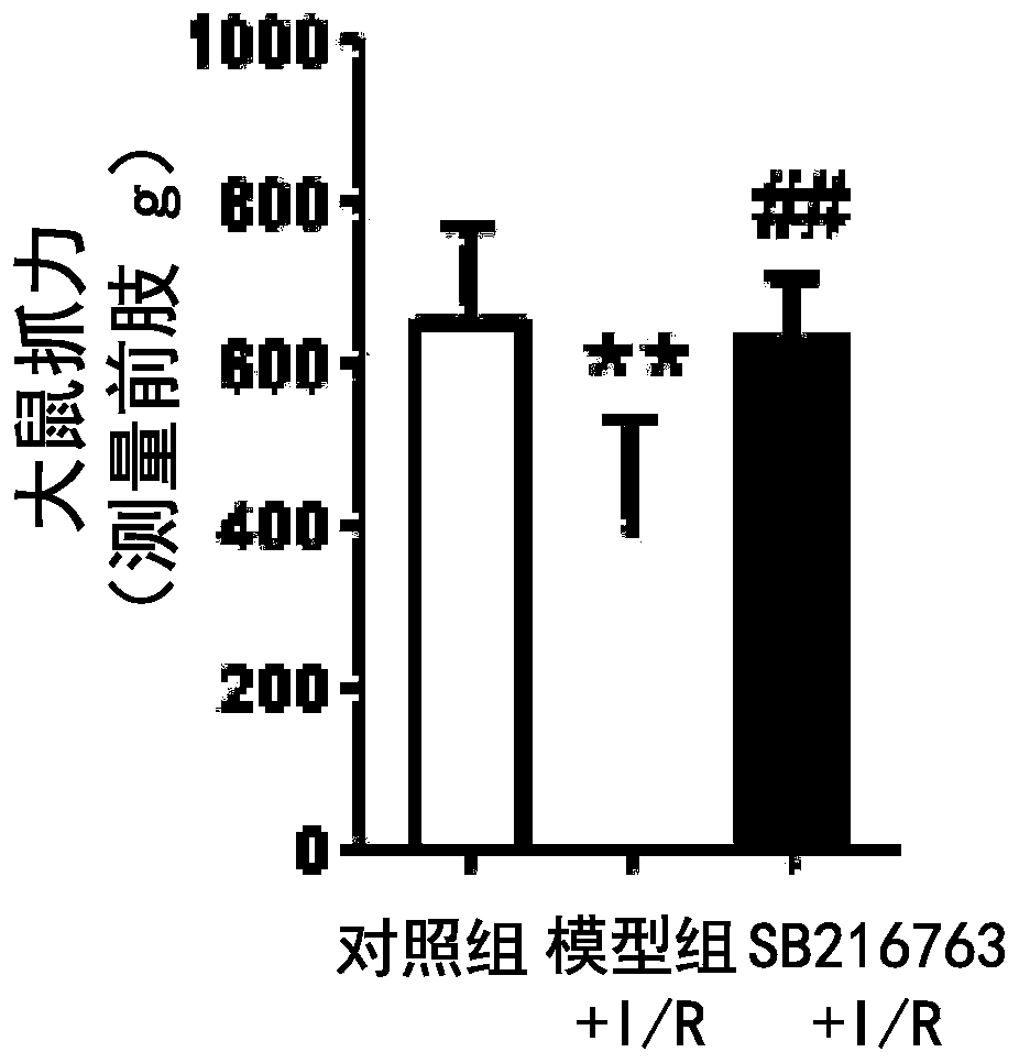 Application of compound SB216763 to preparing cerebrovascular disease preventing and/or treating drugs and pharmaceutical composition of compound SB216763