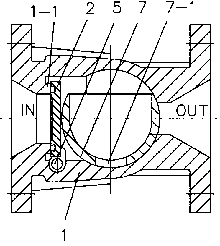 Double action type plug check valve