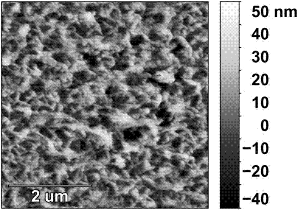 High-strength and high-toughness cellulose hydrogel with force-induced optical anisotropic structure and preparation method of high-strength and high-toughness cellulose hydrogel