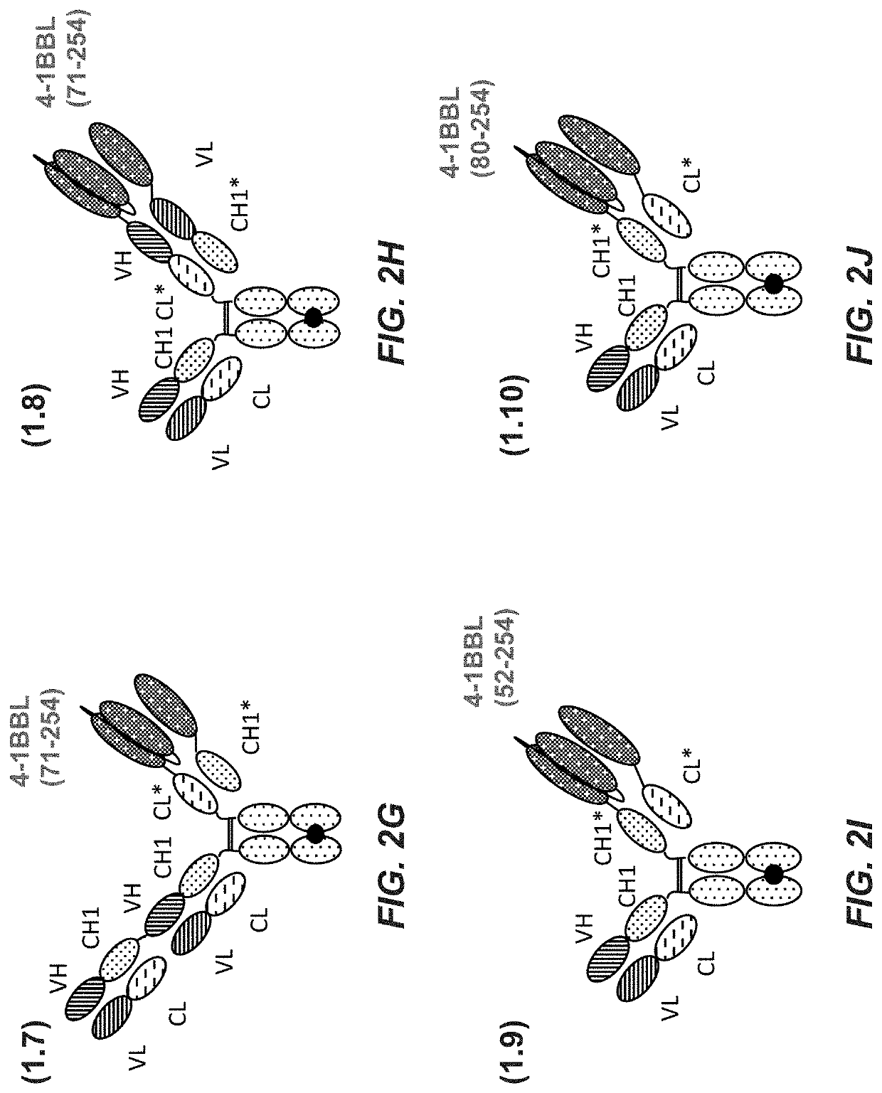 Antigen binding molecules comprising a TNF family ligand trimer