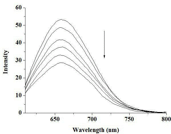 Fluorescent nucleic acid silver and preparation method and application thereof