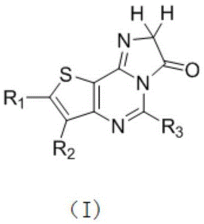 2,3,5-substituted imidazole[1,2-c]-thiophene[2,3-e]-7(8H)keto heterocyclic compound and synthetic method thereof