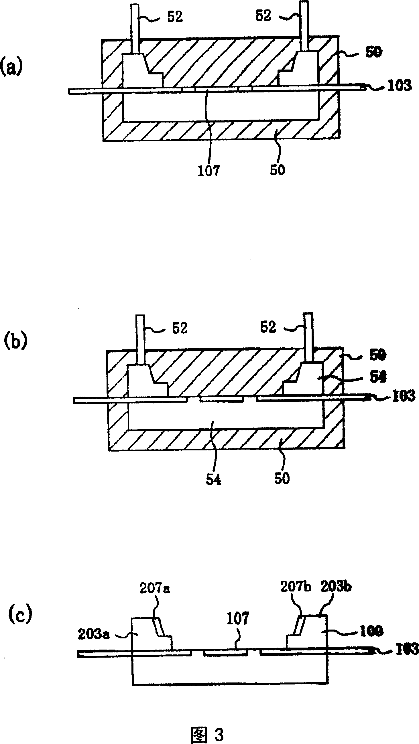 Optical electronic apparatus and method for producing the same