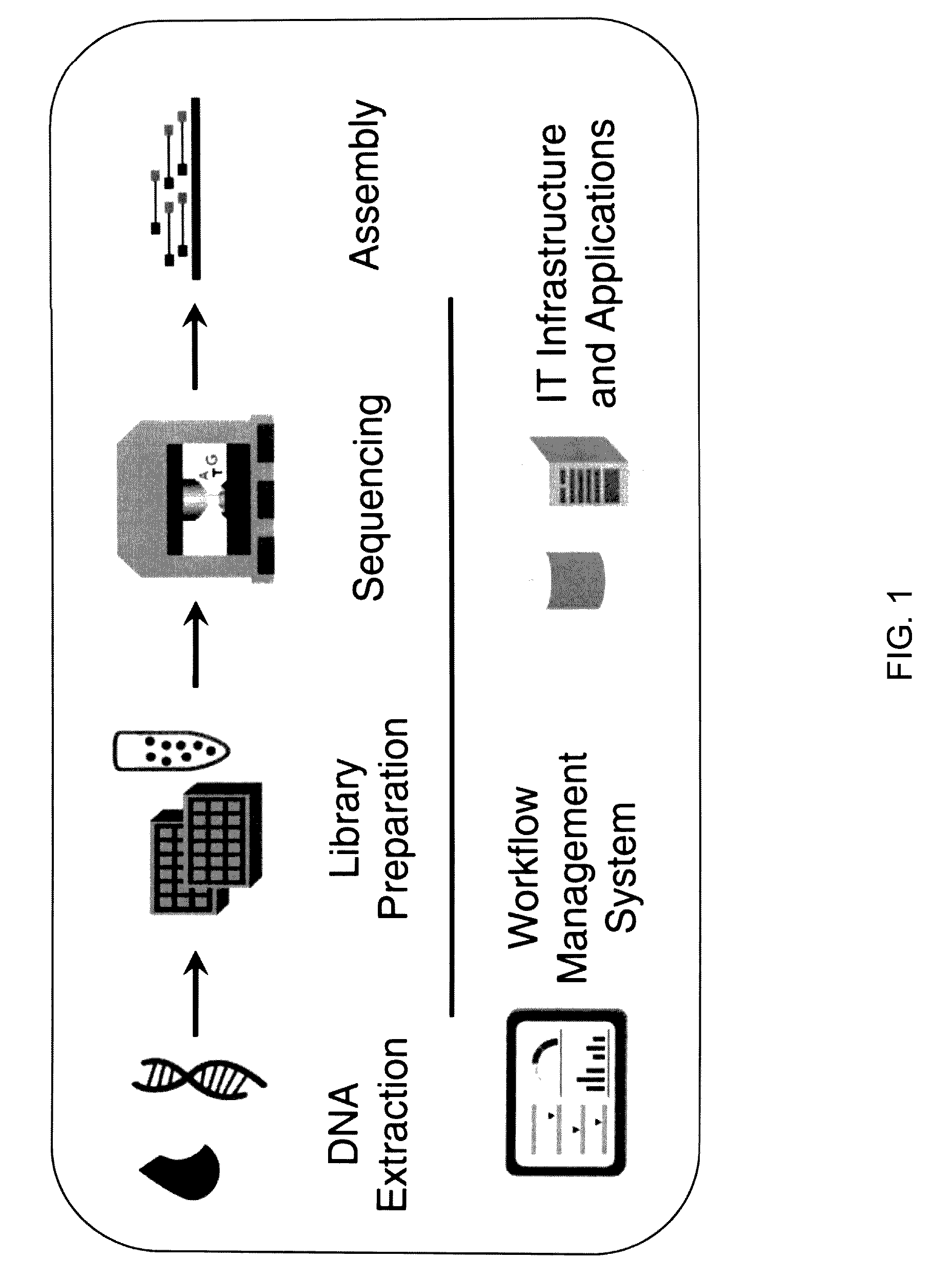 Integrated system for nucleic acid sequence and analysis