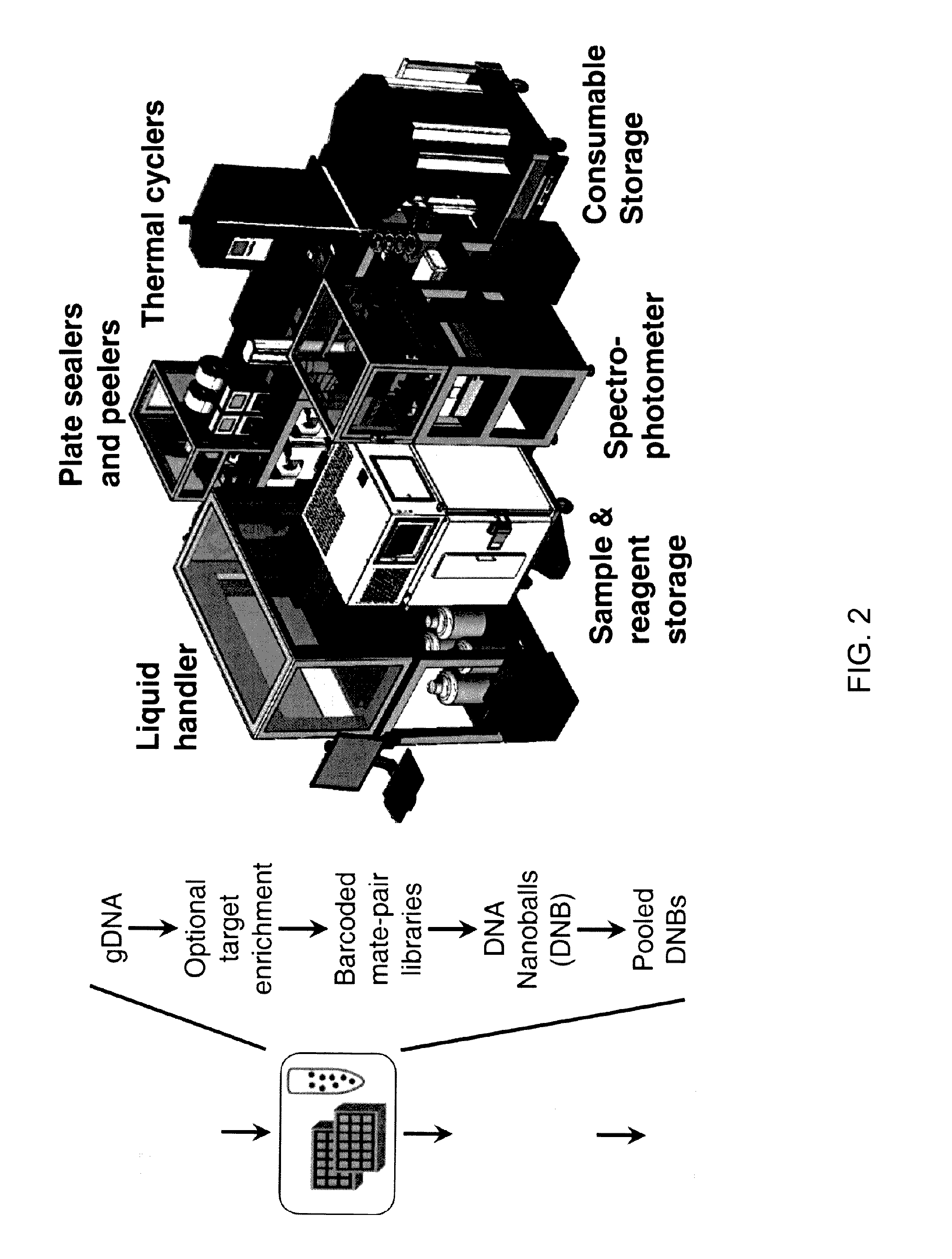 Integrated system for nucleic acid sequence and analysis