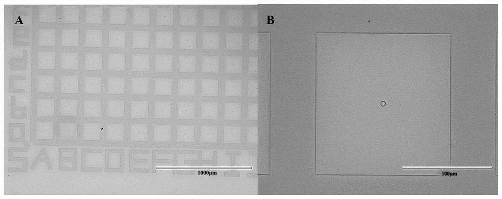 A method for the absolute quantification of gold nanorods in single cells