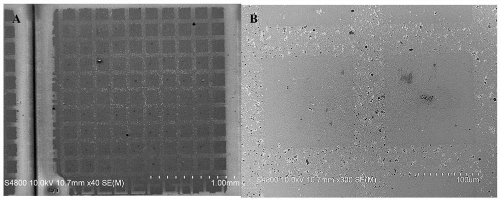 A method for the absolute quantification of gold nanorods in single cells