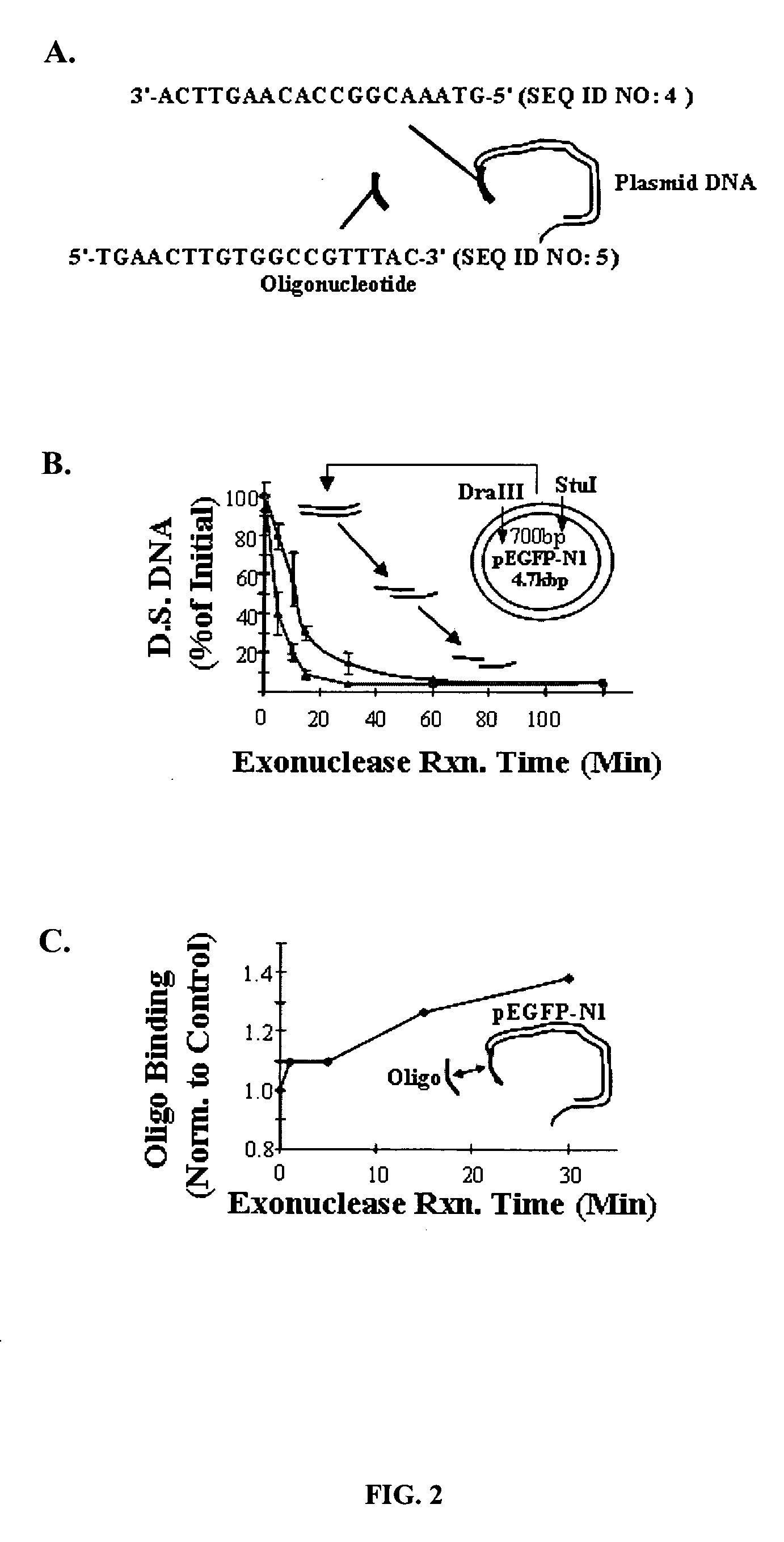 Method and system for delivering nucleic acid into a target cell