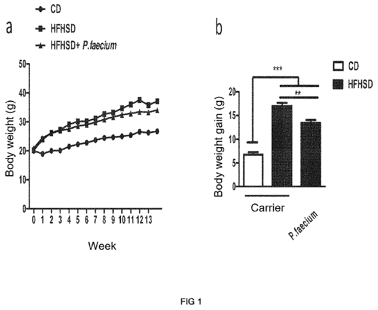 Phascolarctobacterium faecium for use in the prevention and treatment of obesity and its comorbidities