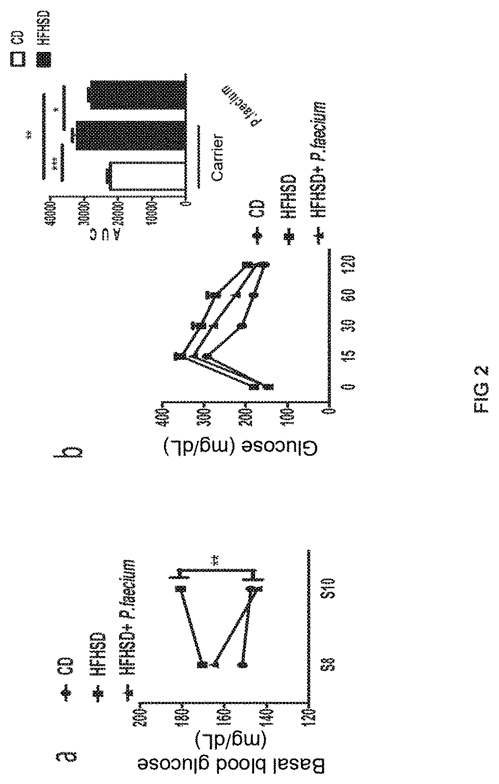 Phascolarctobacterium faecium for use in the prevention and treatment of obesity and its comorbidities