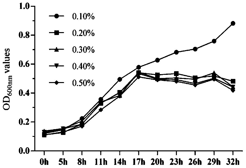 A cold-water fish probiotic Bacillus strain and its application