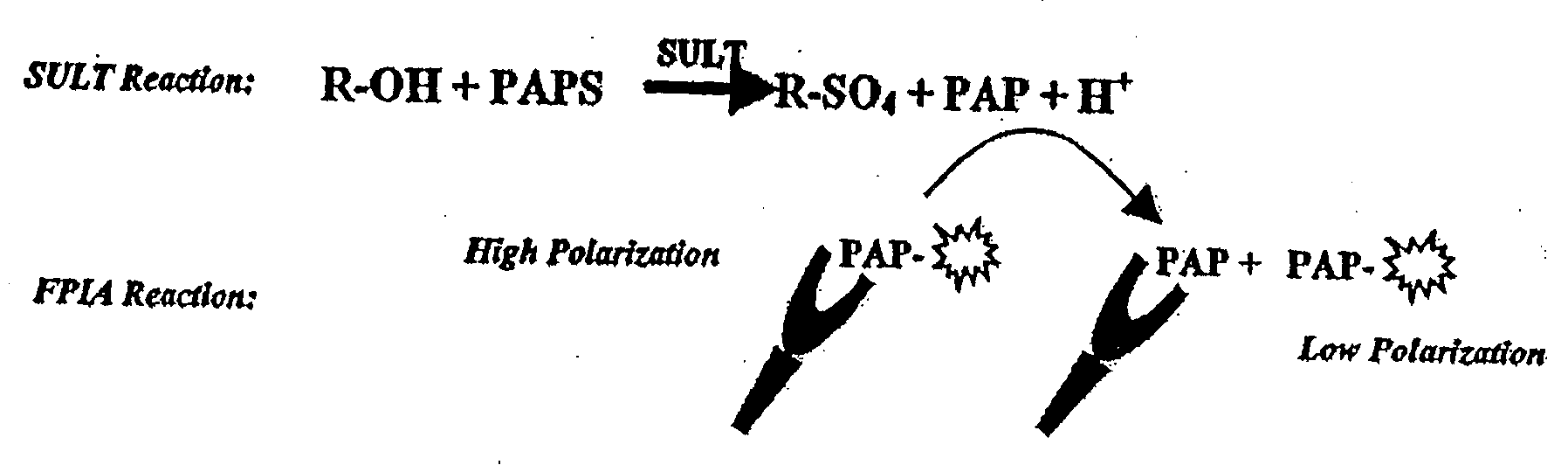 Assay Method for Group Transfer Reactions