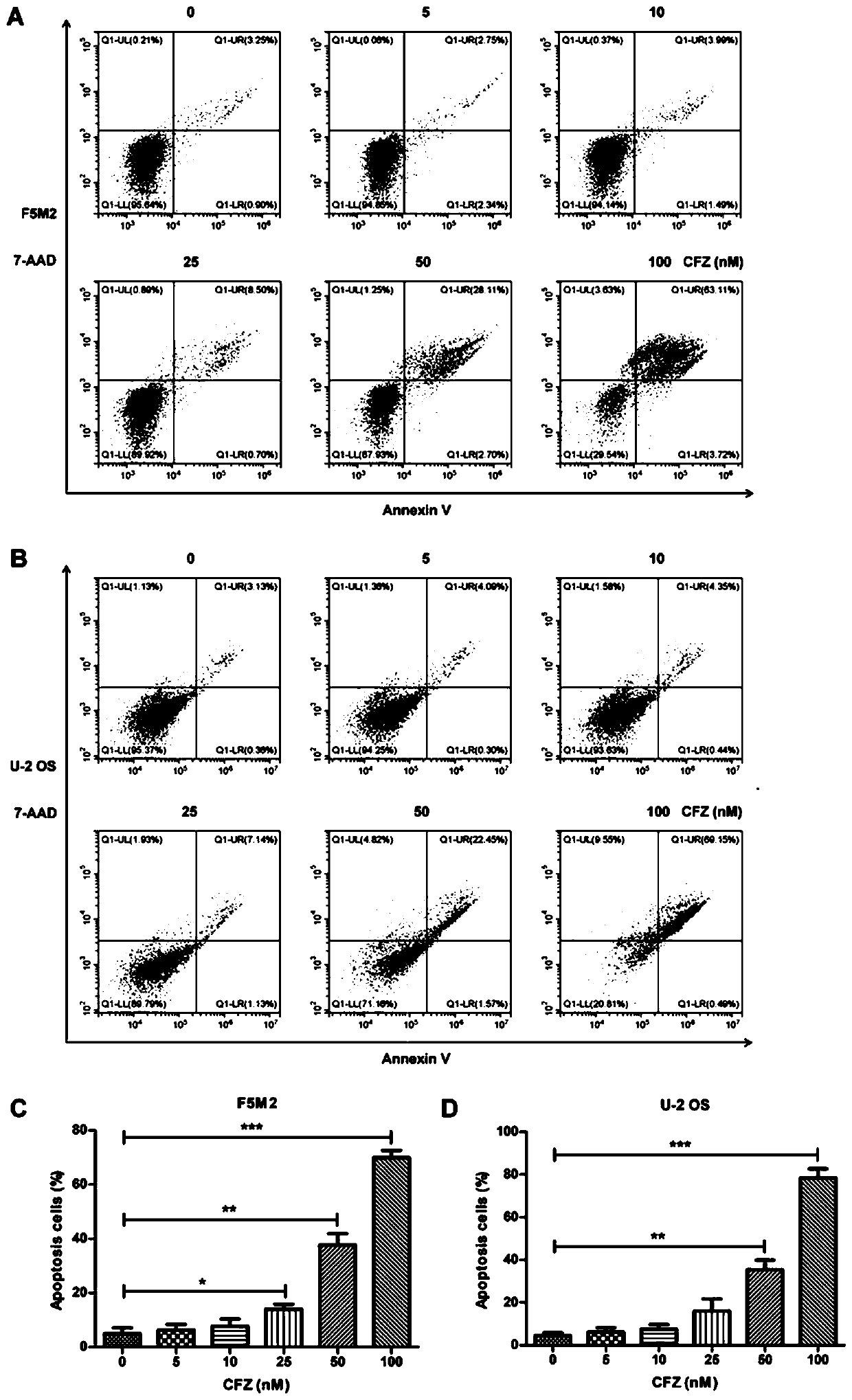 Application of carfilzomib in preparation of drugs for treating osteosarcoma