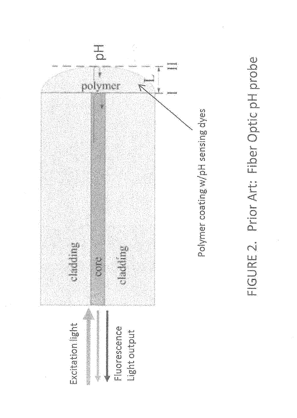 Apparatus and method for assessment of cancer margin