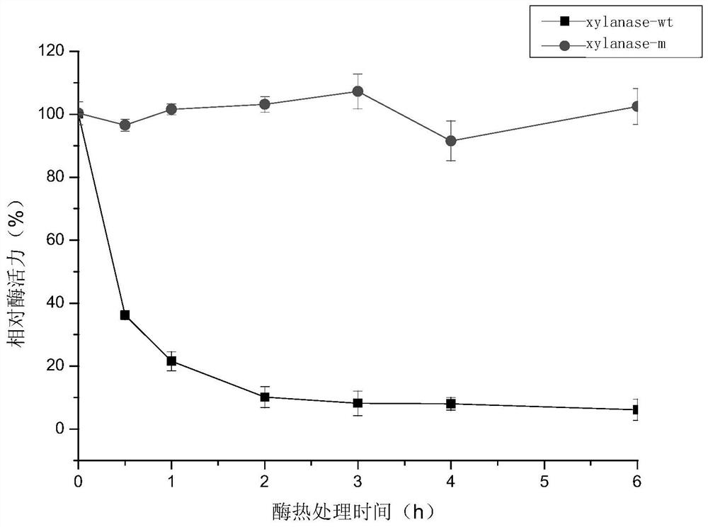 A kind of xylanase xylanase-m with high thermostability and its coding gene and application