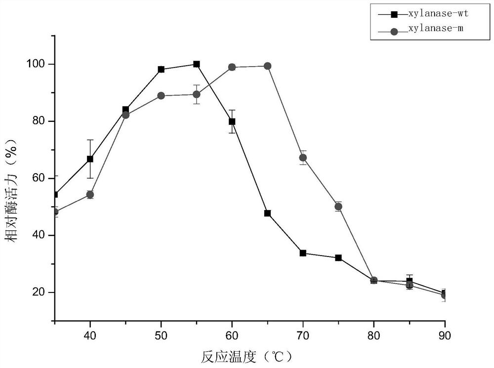 A kind of xylanase xylanase-m with high thermostability and its coding gene and application