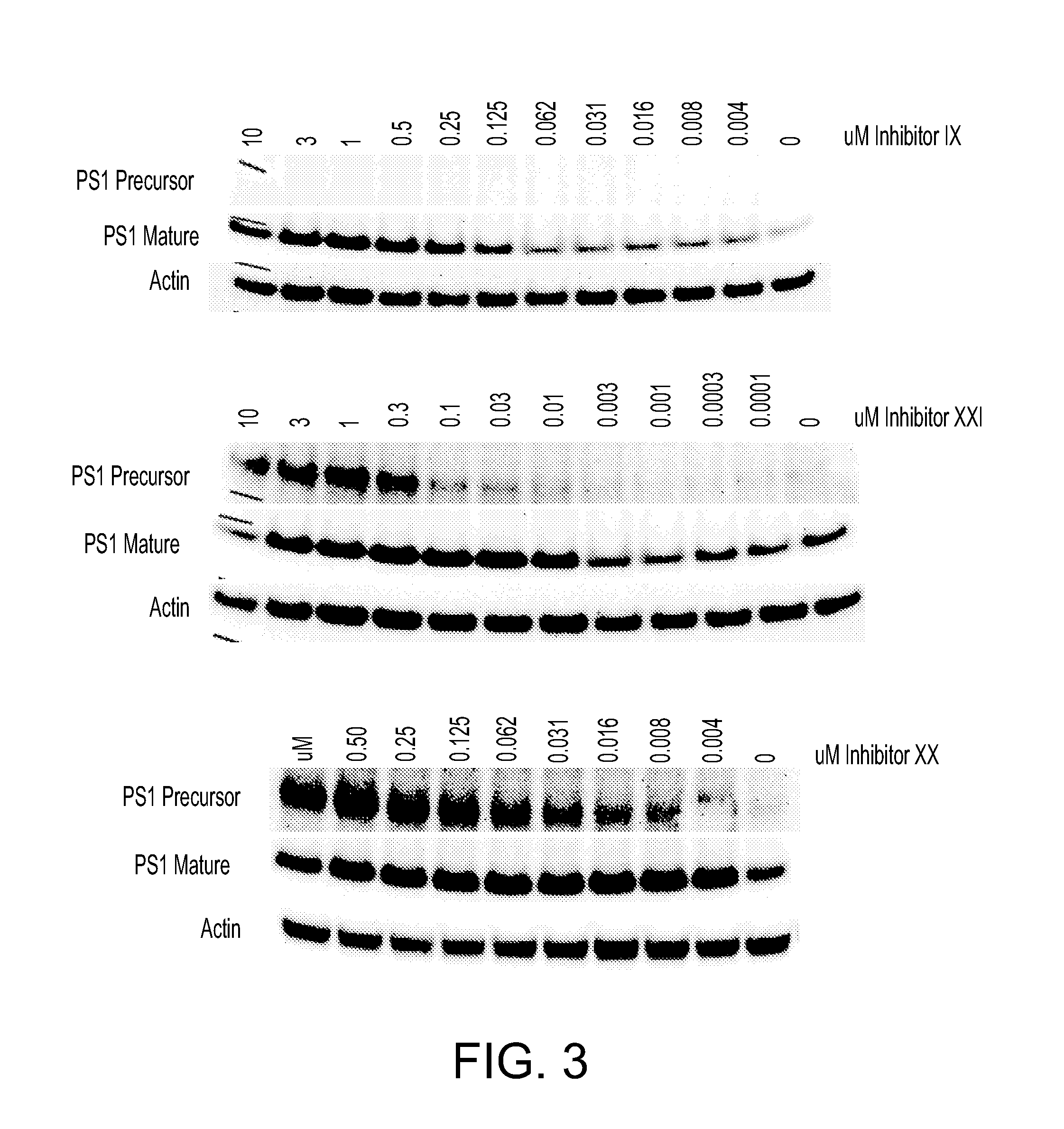 Method of treating alzheimer's disease using pharmacological chaperones to increase presenilin function and gamma-secretase activity