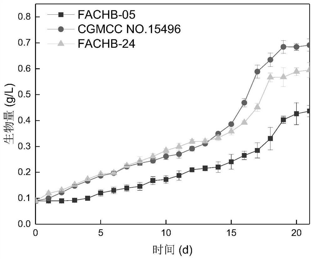 A kind of chlorella and its application in biogas slurry purification