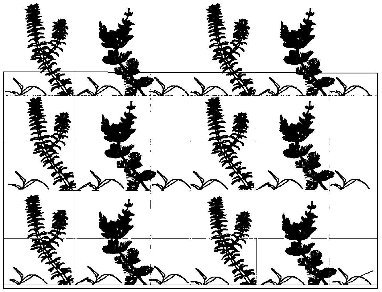 A method for making composite submerged plant turf