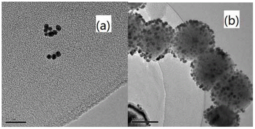 Preparation of ferroferric oxide/gold nanometer composite material and method for rapidly detecting rhodamine molecules by using ferroferric oxide/gold nanometer composite material
