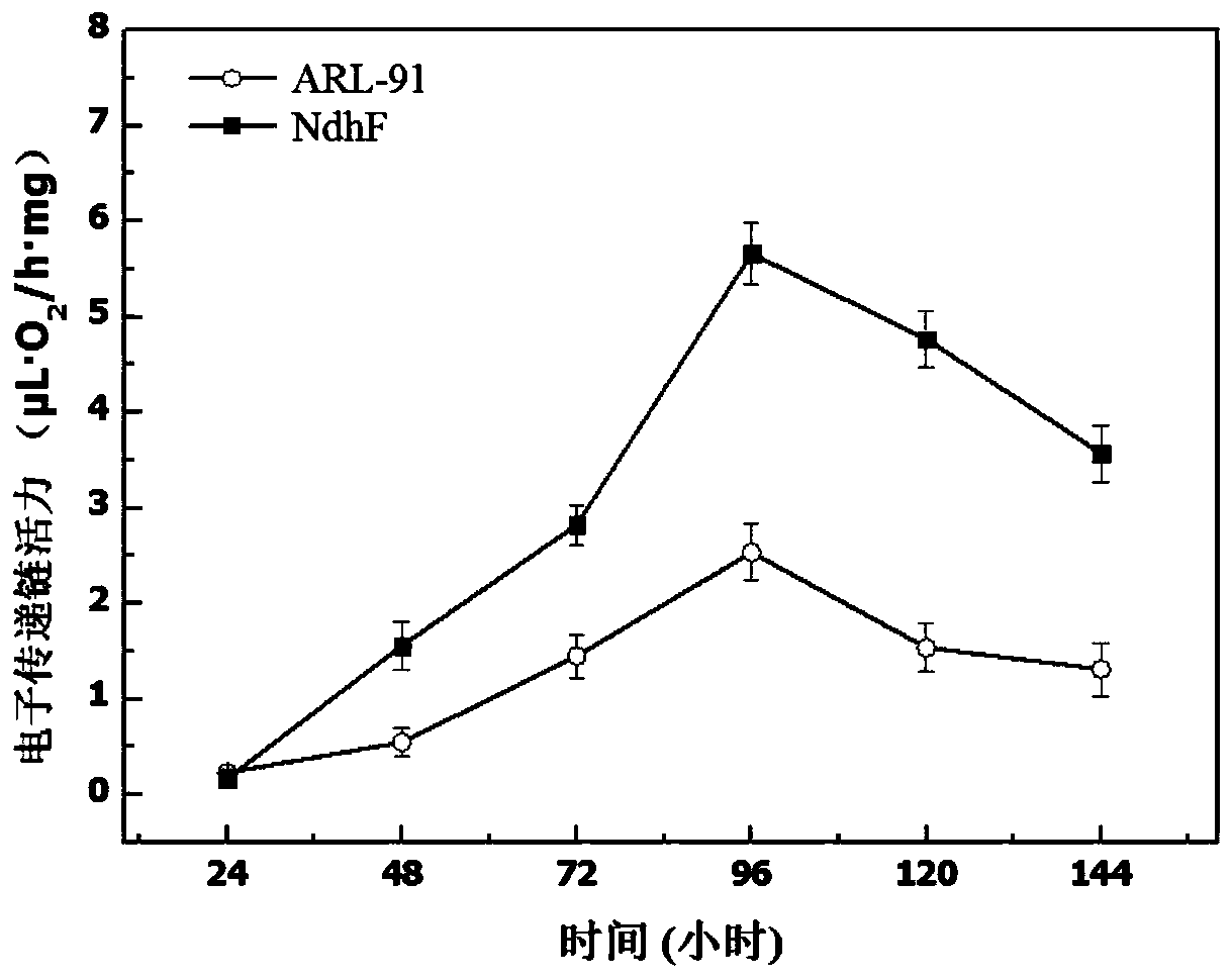 Method for enhancing steroid medicine precursor production by strengthening NADH dehydrogenation