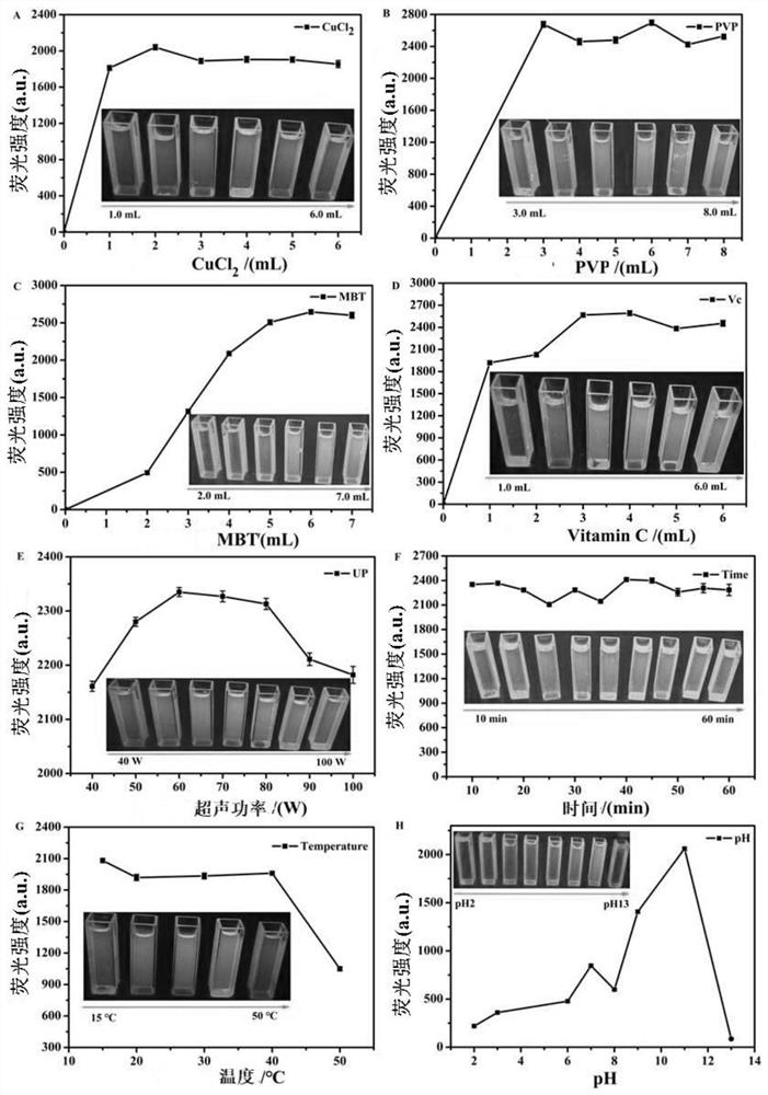 A fluorescent copper nanocluster, its preparation method and its application