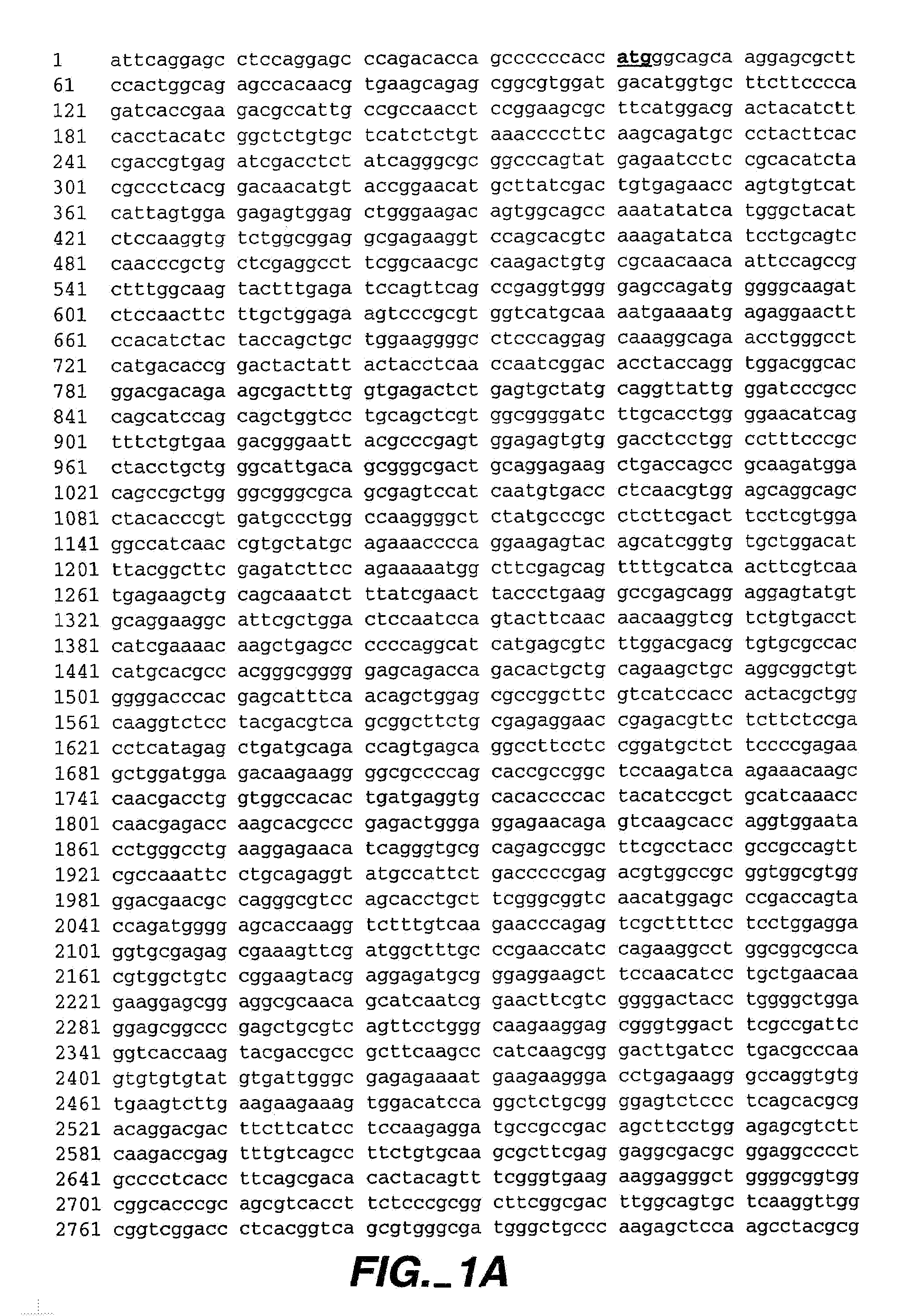 Modulators of B-lymphocyte activation, myosin-1F compositions and methods of use