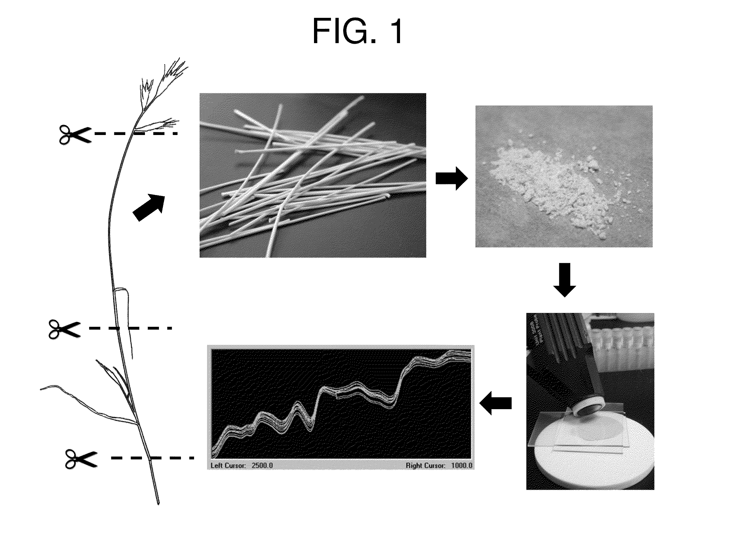 Multiplex chemotyping microarray (MCM) system and methods