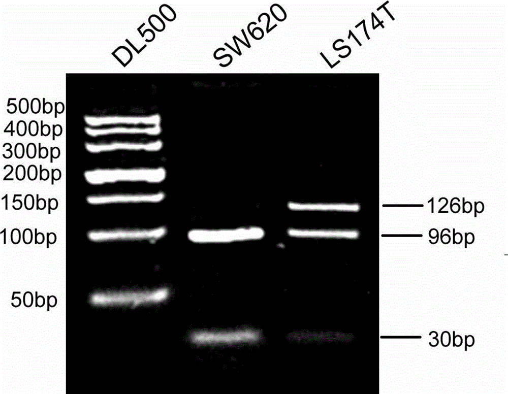 PCR-RFLP method for detecting H-site mutation of PIK3CA gene