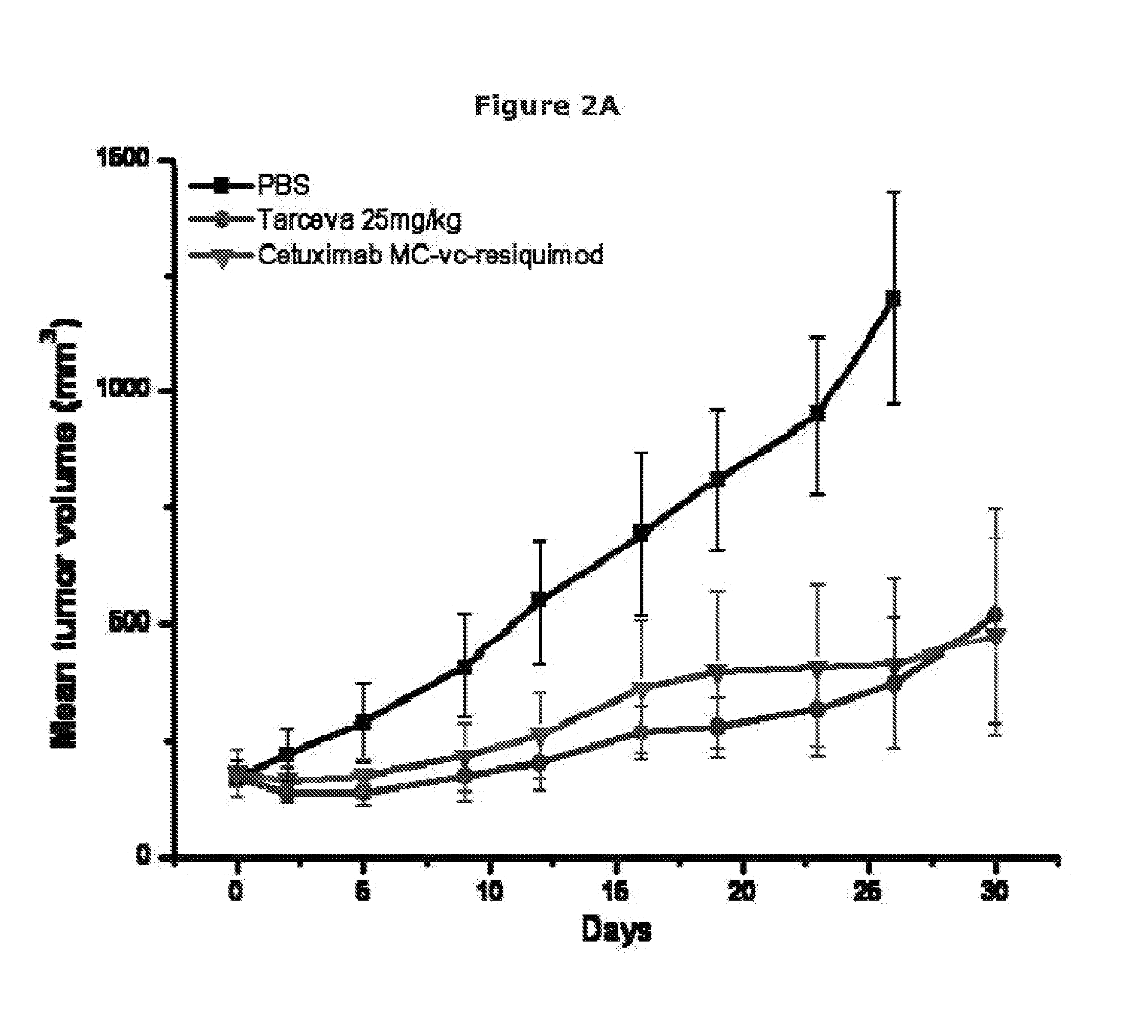 Compounds and Compositions for Treating EGFR Expressing Tumors