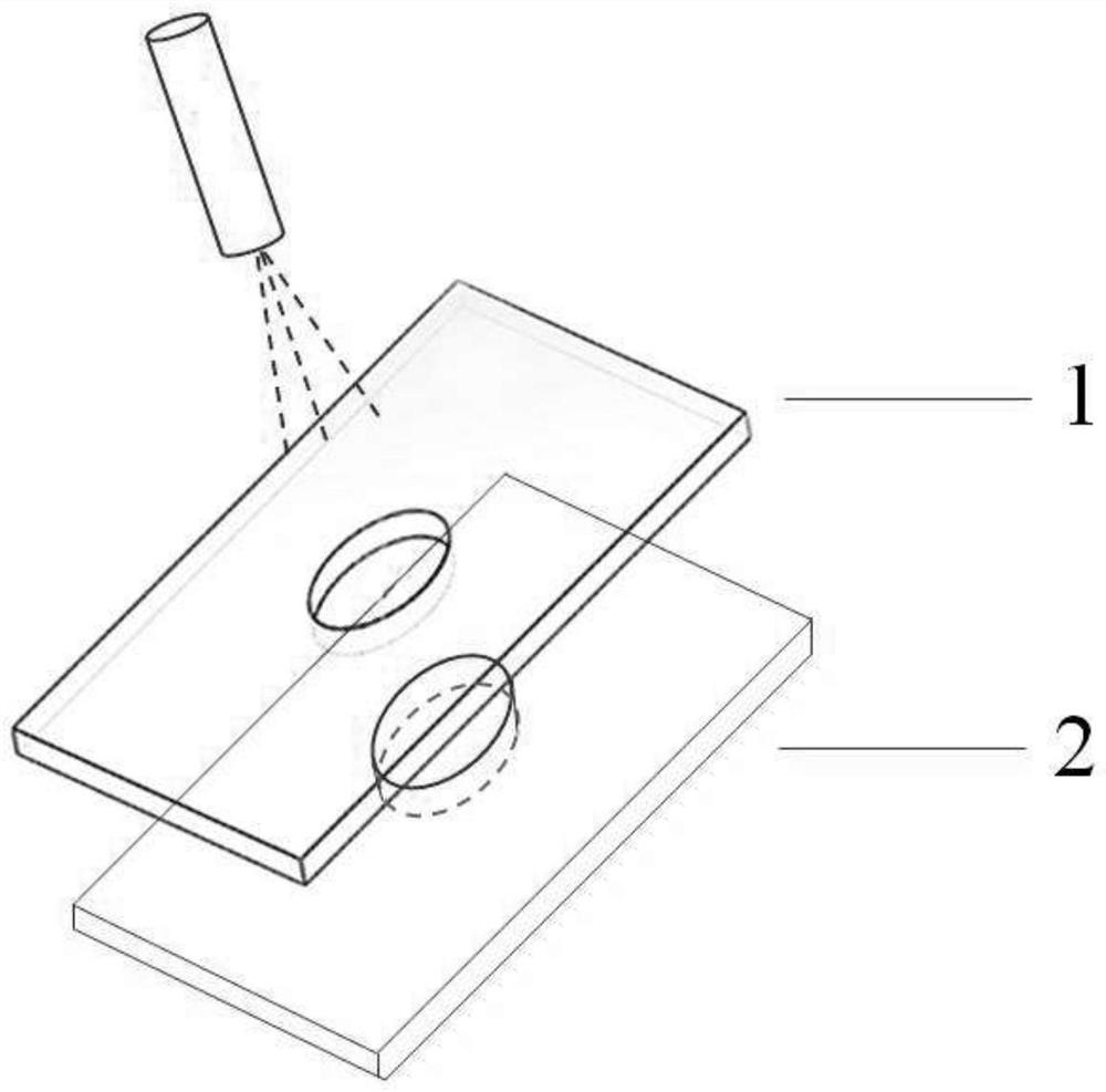 Shape-adjustable hydrogel patch for wound repair and preparation method thereof