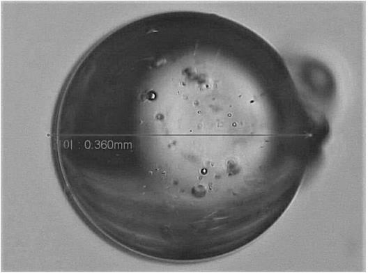 Filler and preparation method of filler