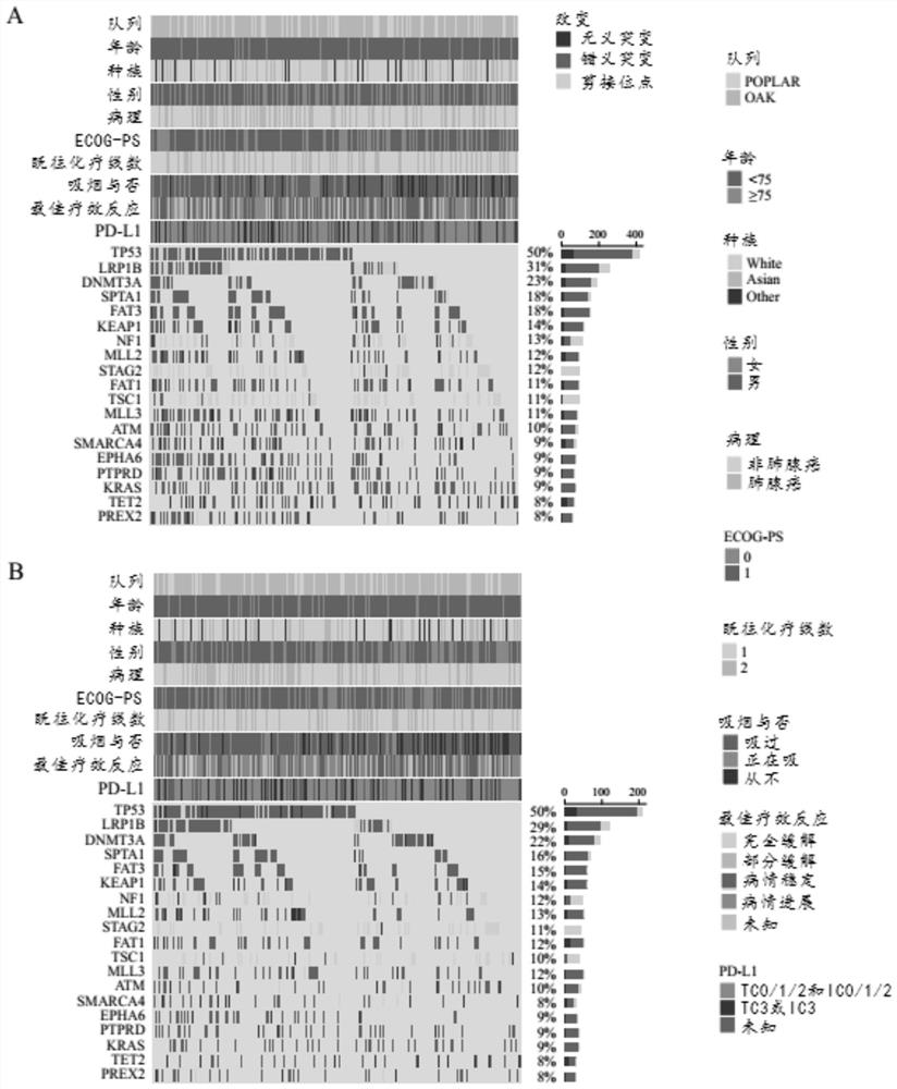 A method for establishing a nomogram model for predicting the curative effect of tumor immunotherapy