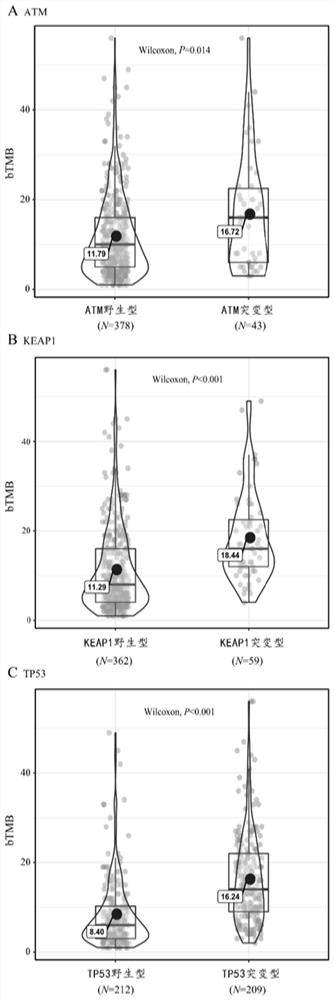 A method for establishing a nomogram model for predicting the curative effect of tumor immunotherapy