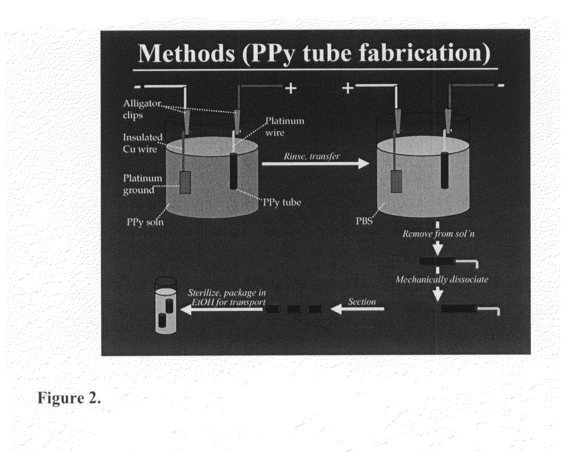 Methods and compositions for the treatment of open and closed wound spinal cord injuries