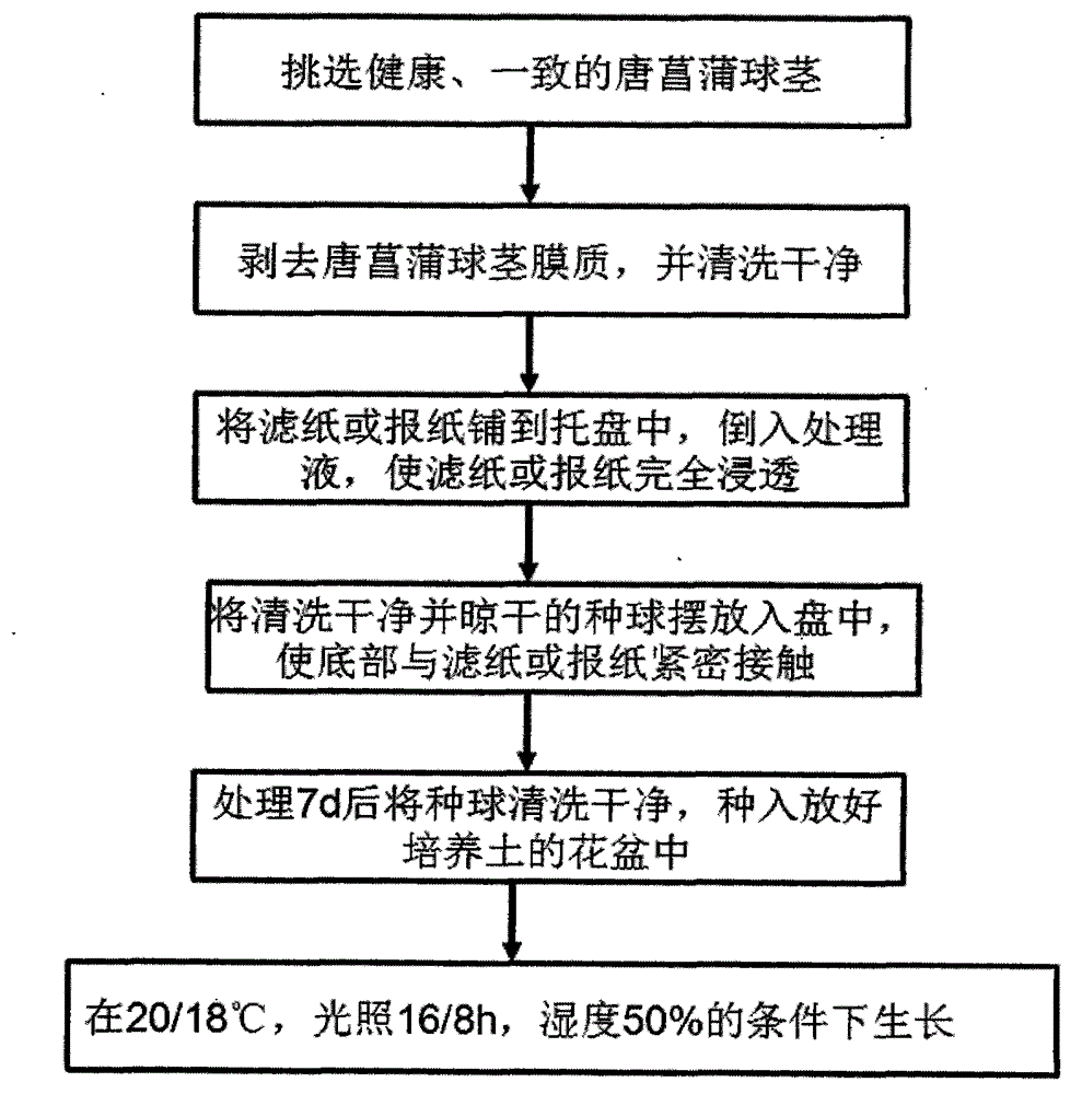Chemical composition for promoting gladiolus corm to quickly grow as well as preparation method and application of chemical composition