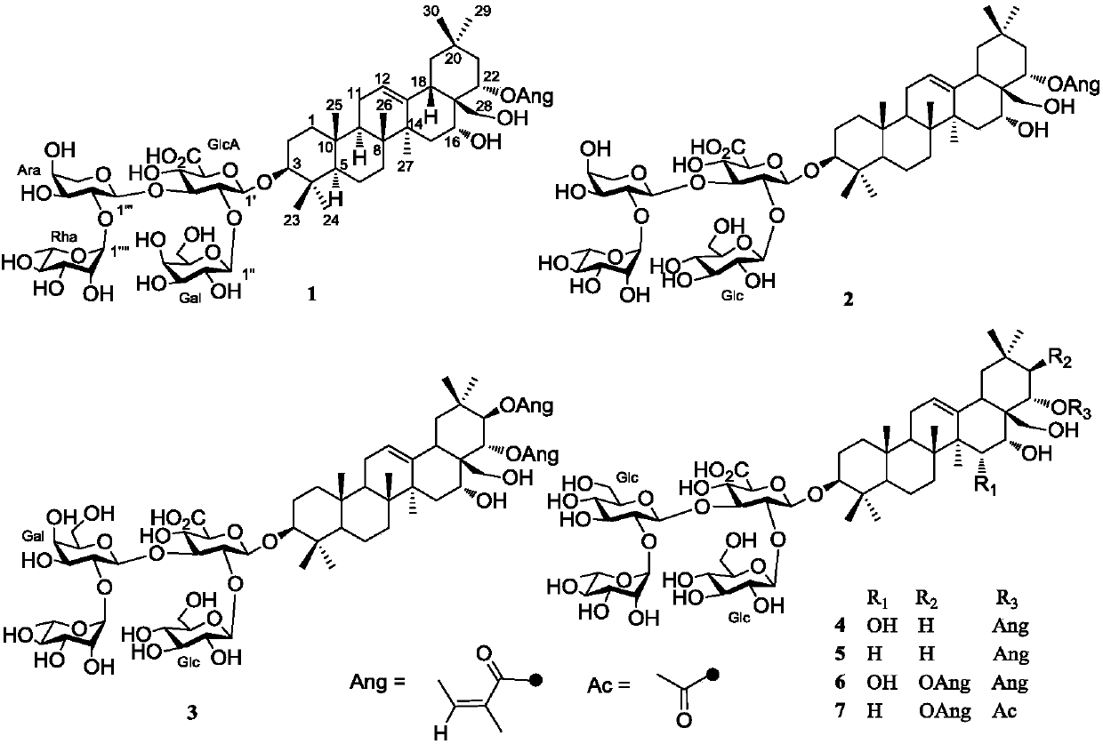 Triterpenoid saponin pharmaceutical compound, preparations and application thereof