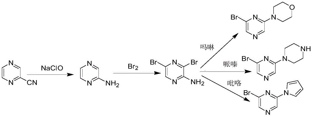Preparation method of 2-aminopyrazine derivatives