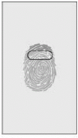 Fingerprint sensor and fingerprint identification method therefor