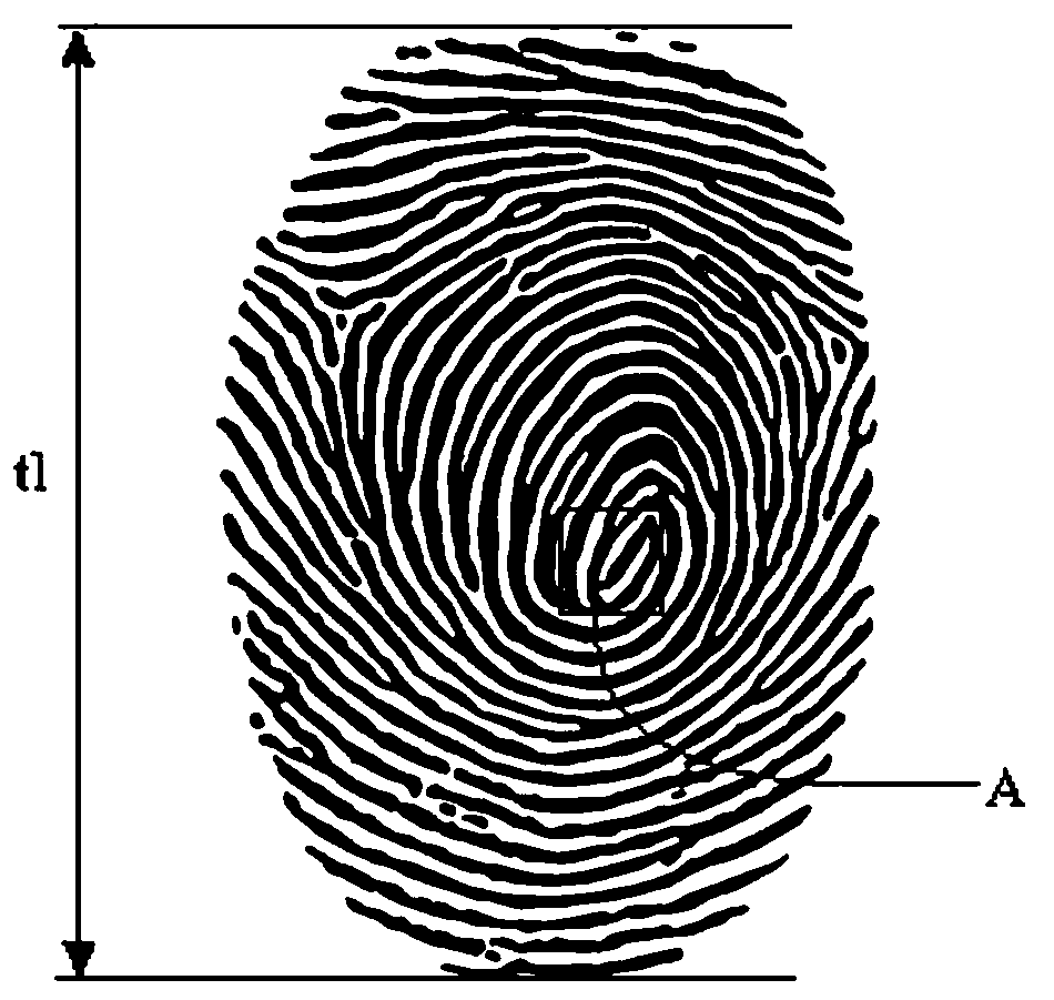 Fingerprint template registration method based on sliding type sampling and fingerprint identification device