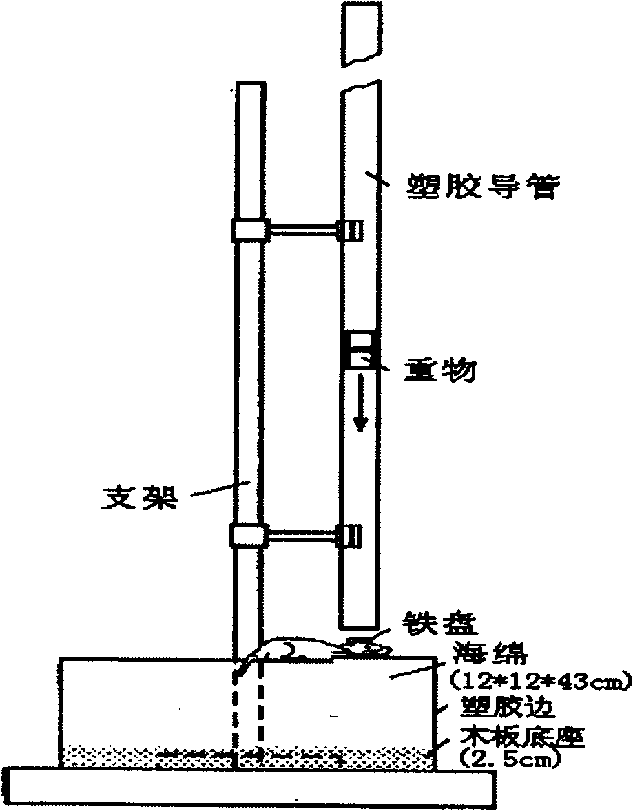 Device for generating diffuse axonal injury to rodent