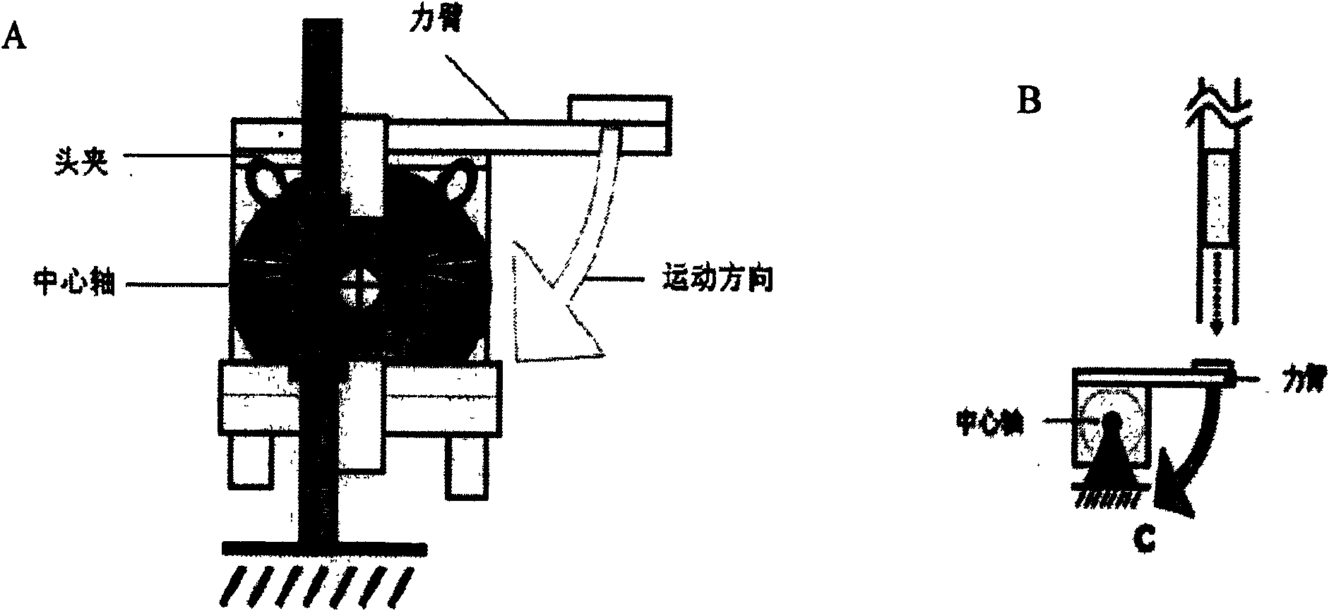 Device for generating diffuse axonal injury to rodent