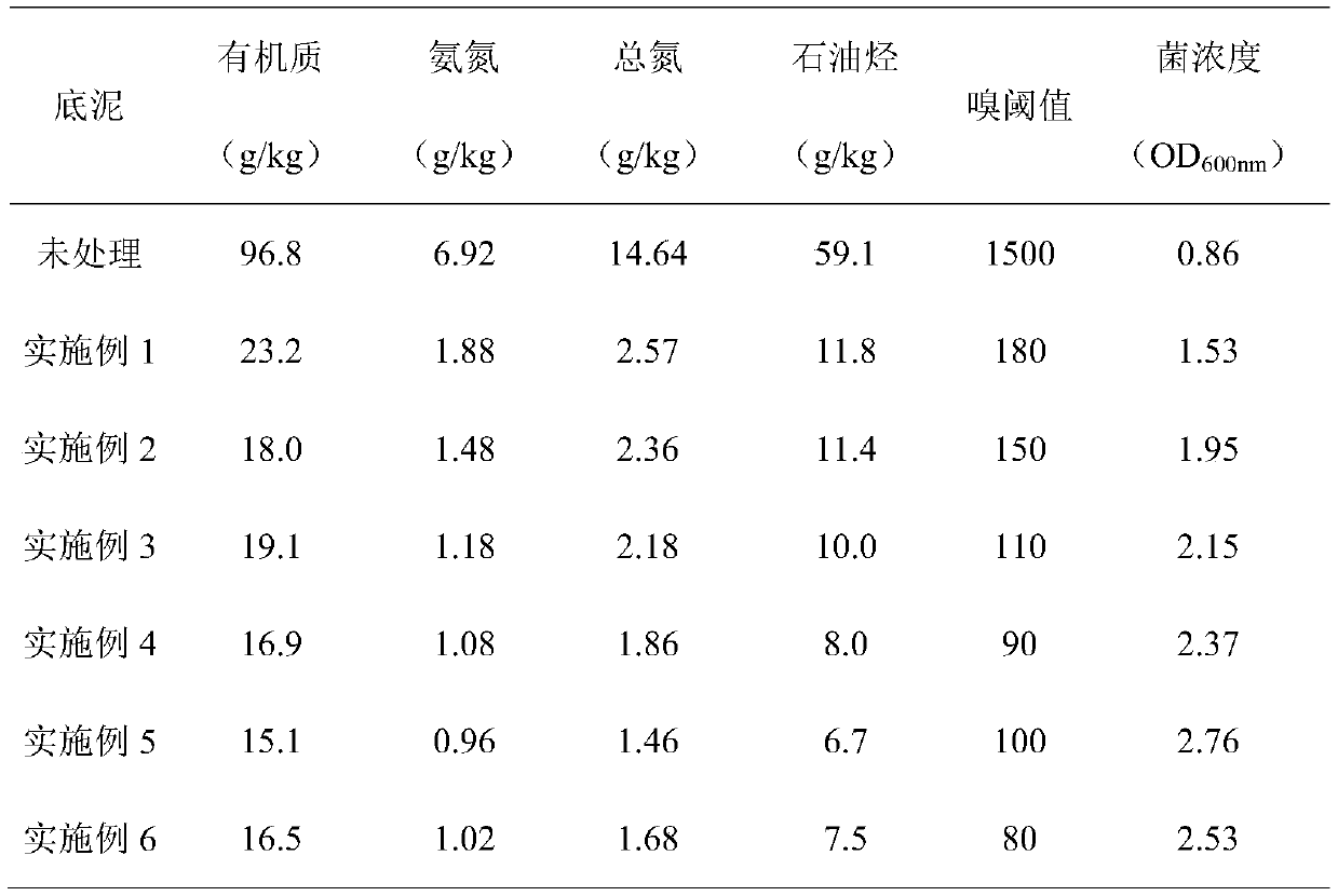 Composite microbial preparation for in-situ remediation of drain outlet of steel smelting port ditch