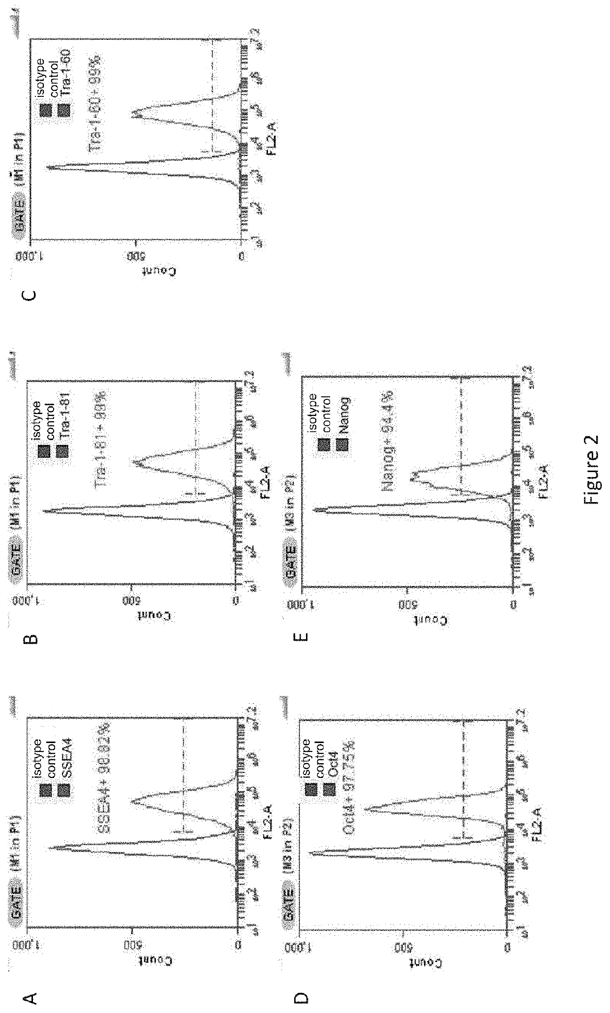 Method for preparing induced pluripotent stem cells by reprogramming somatic cells