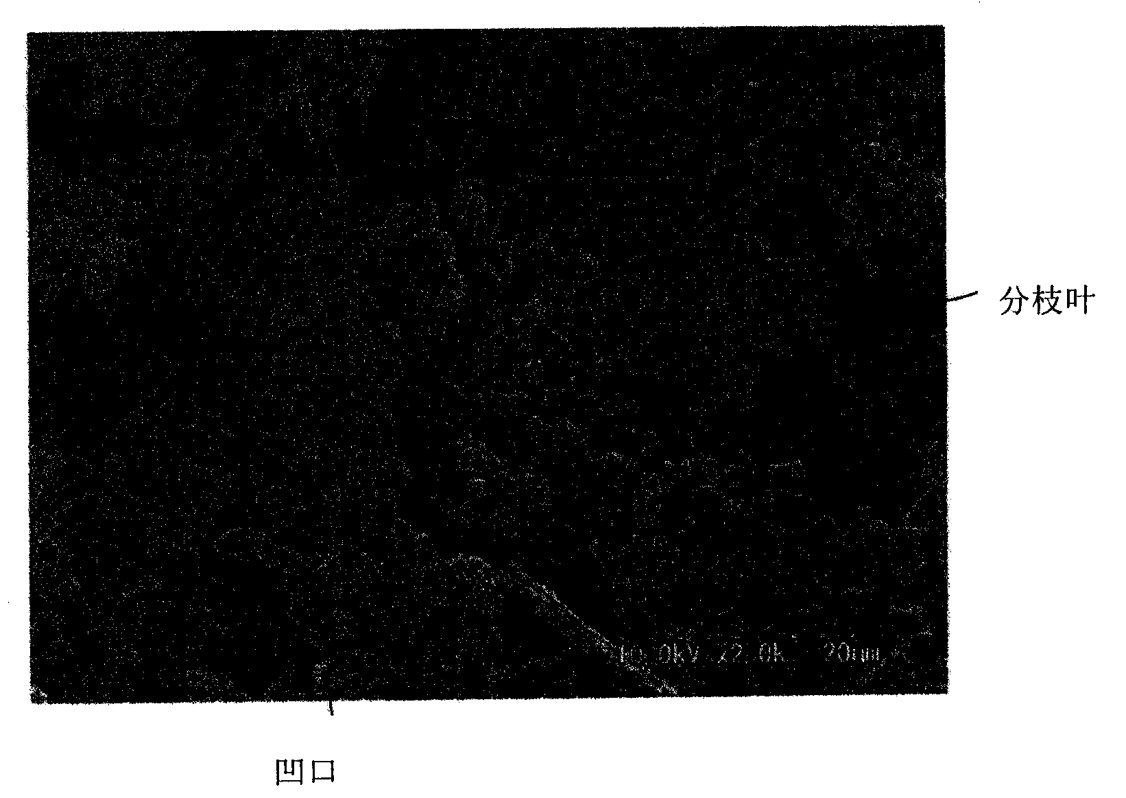 Conductive fine particles, method for manufacturing same, conductive resin composition, conductive sheet, and electromagnetic shielding sheet