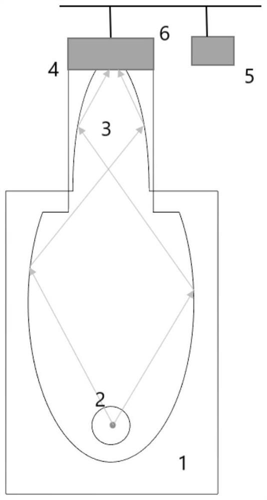 Ion beam fluorescence detection device and method for 4pi solid angle