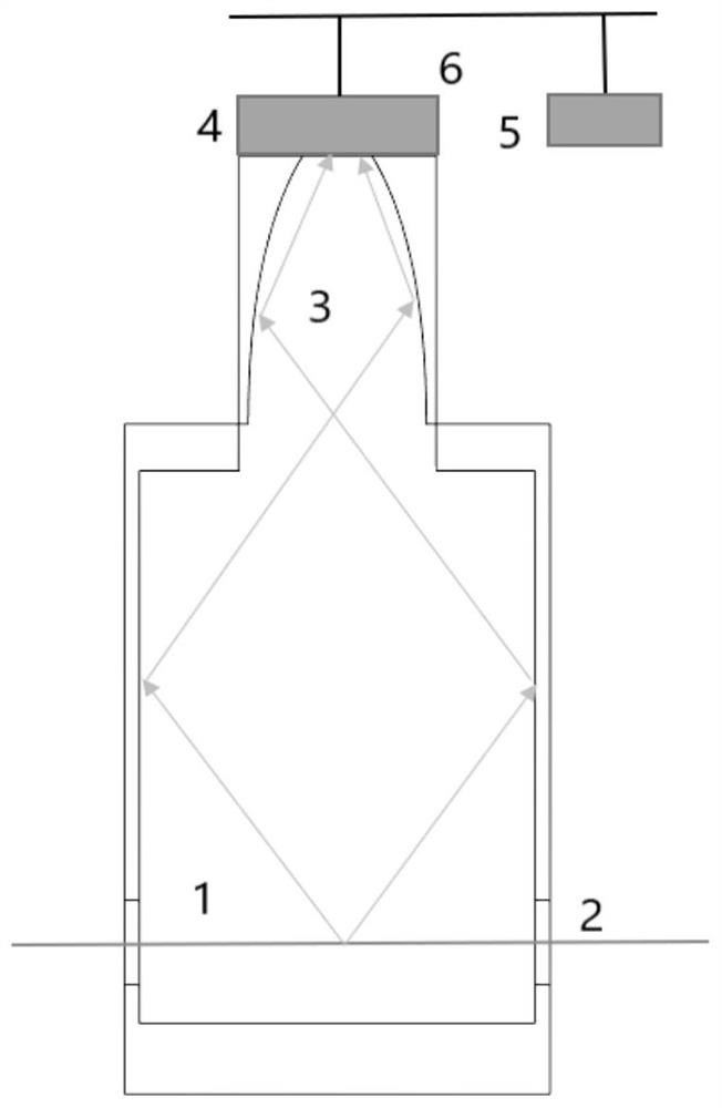 Ion beam fluorescence detection device and method for 4pi solid angle