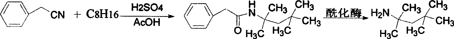 Process for preparing tert-octylamine