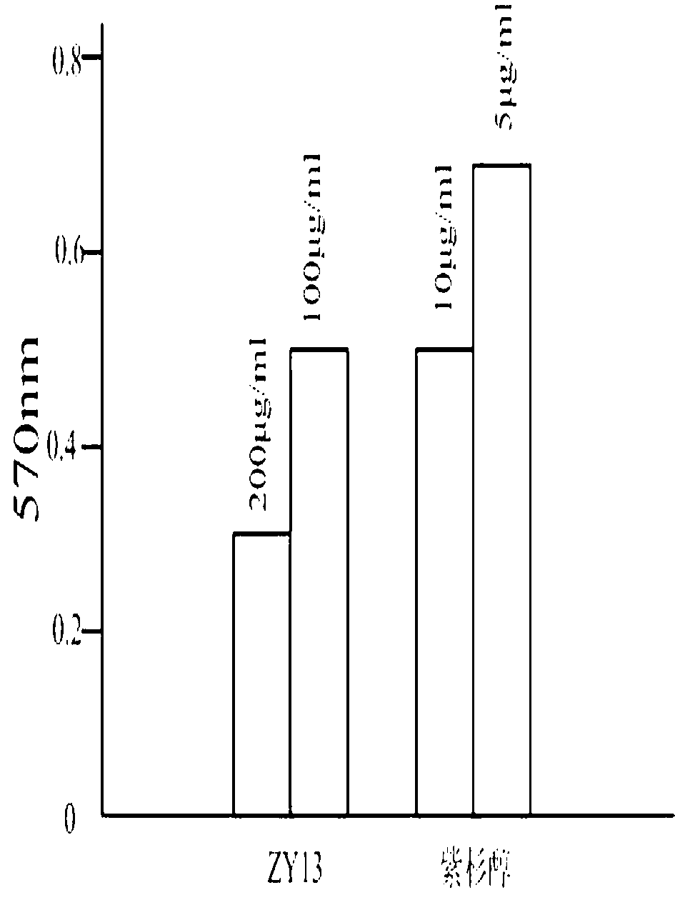 Small molecular polypeptide ZY13 and application thereof
